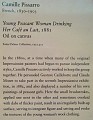 Chicago Art Museum 2010 0531